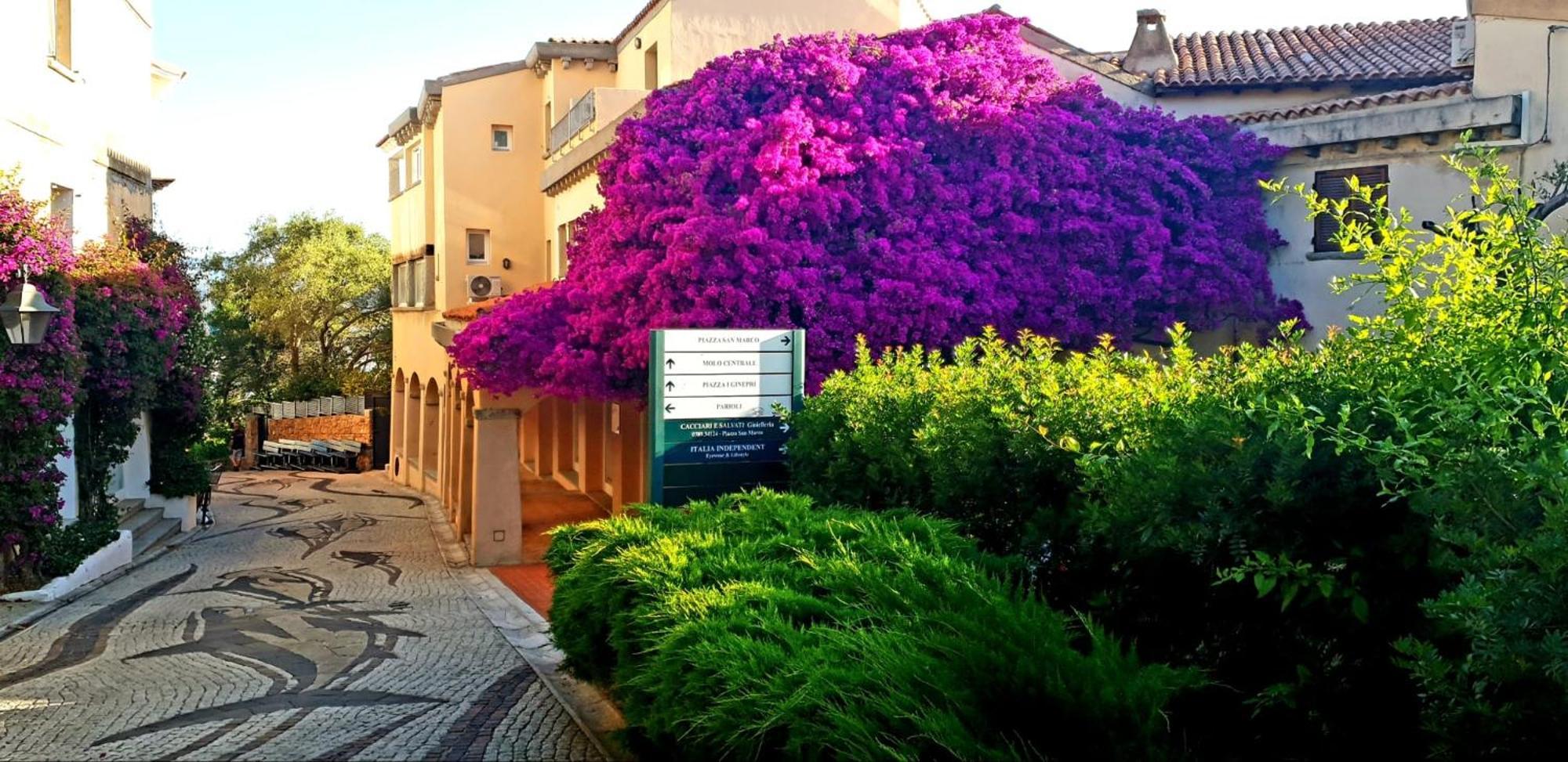 Bouganville Porto Rotondo Esterno foto